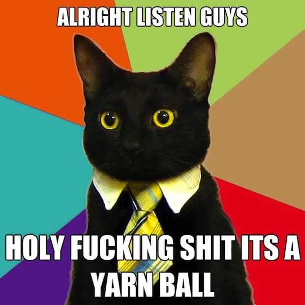 business-cat-12.jpg
