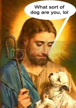 loljesus2.jpg