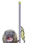orlyflaglol_2.gif