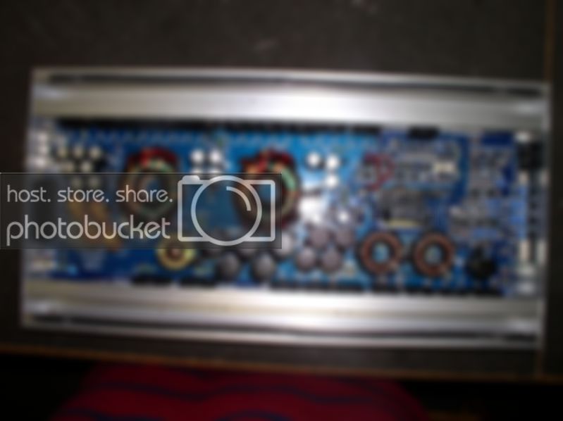 P1010011-1.jpg