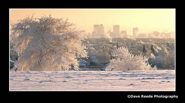 wpg2winter.jpg