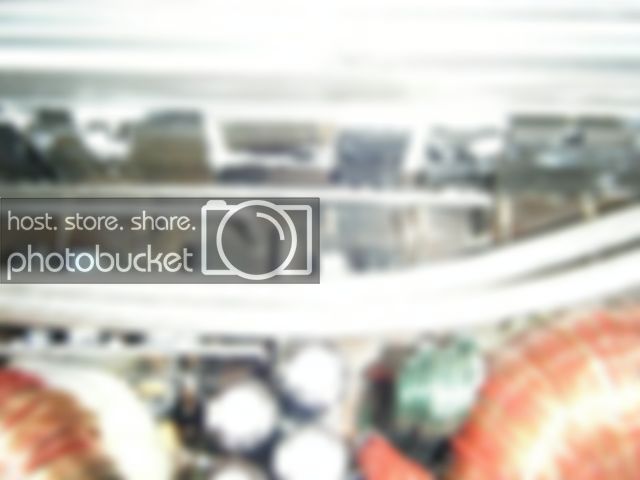 DSCF0356.jpg