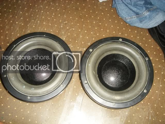 DSC04713.jpg