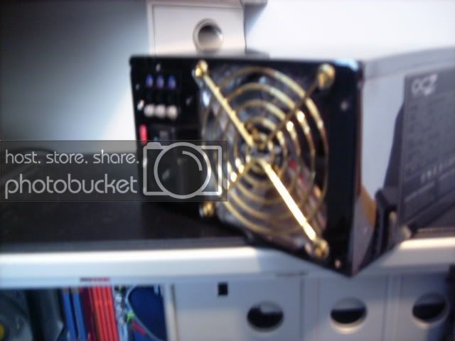 DSCI0309.jpg