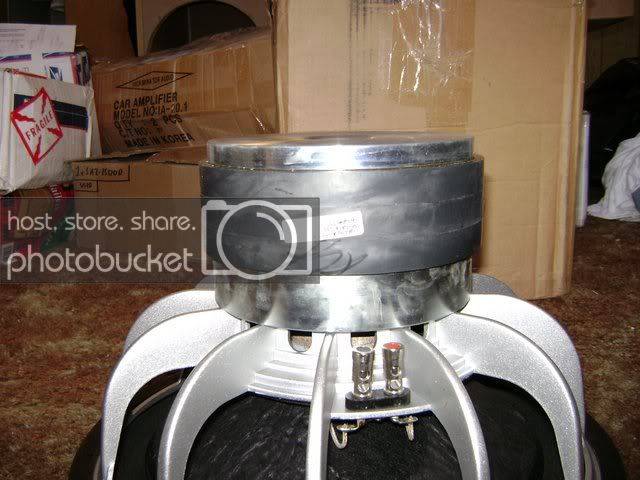 DSC00135.jpg