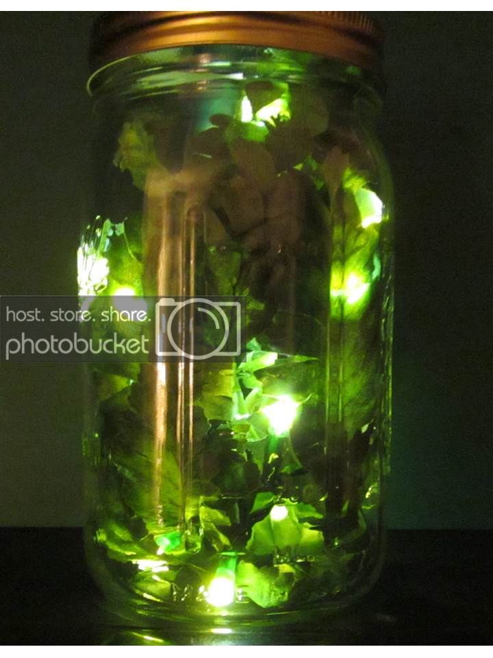 fireflies%20in%20mason%20jar_zps7kq6u7nh.jpg