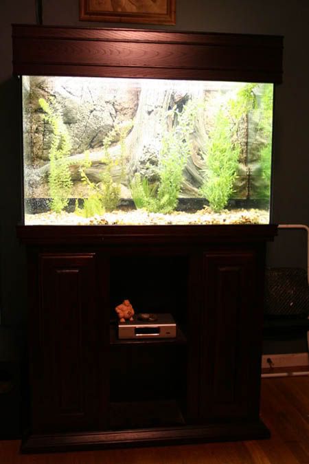 1bigtank-1.jpg