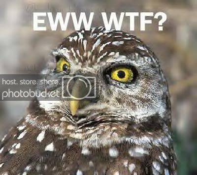 ewwwwtf.jpg