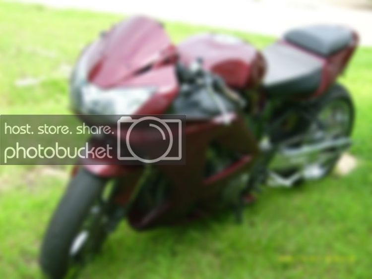 bikeshots3.jpg
