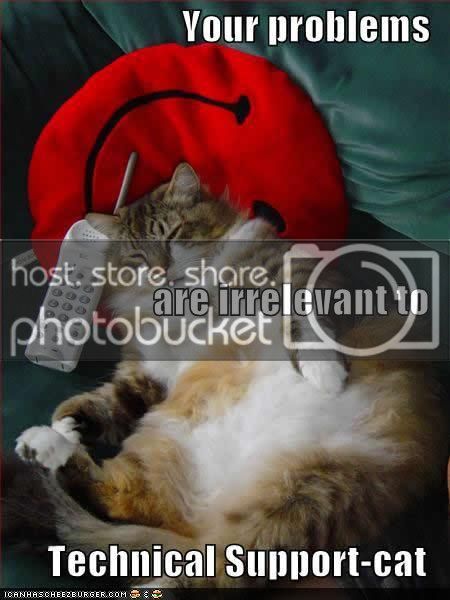 funny-pictures-cat-does-not-care.jpg