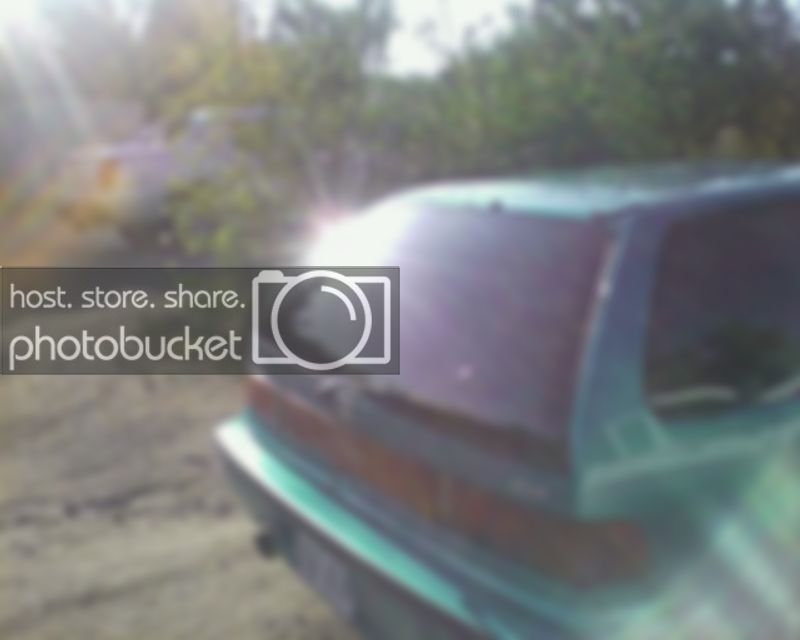 tint4.jpg