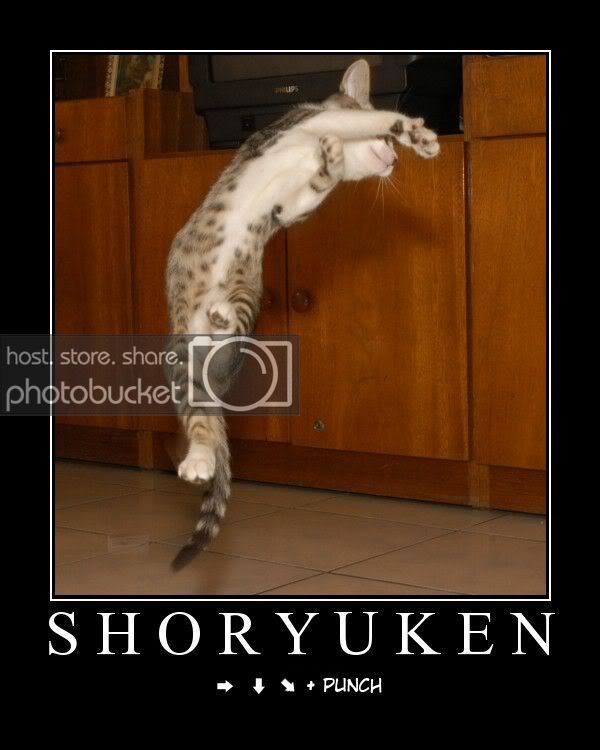 shoryuken.jpg