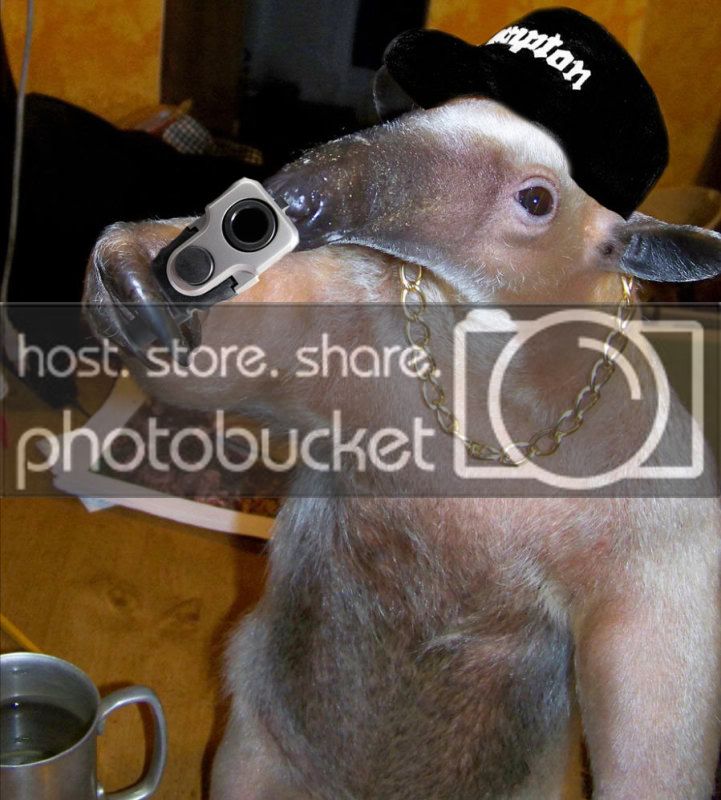 compton-anteater.jpg