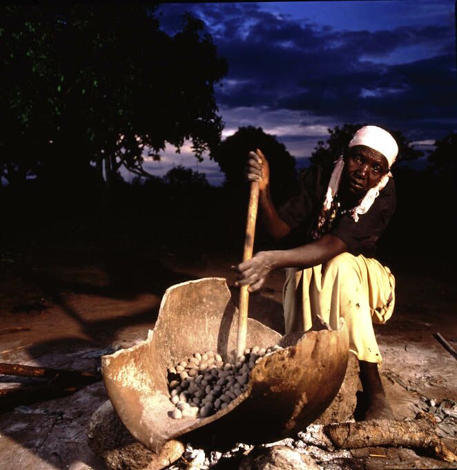 Roasting%20Shea%20Nuts.jpg