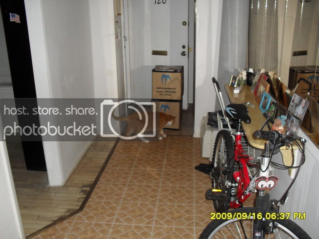 SDC10219.jpg
