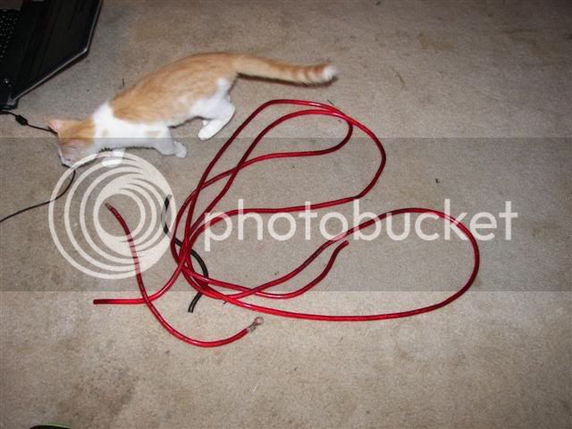 100_7043Small.jpg