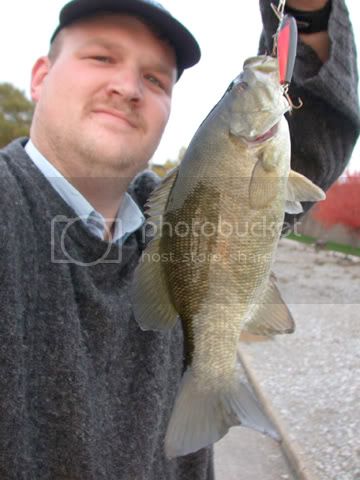 bassnov4.jpg