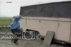 LOL.gif