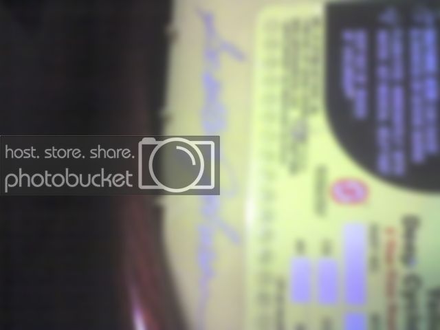img014.jpg