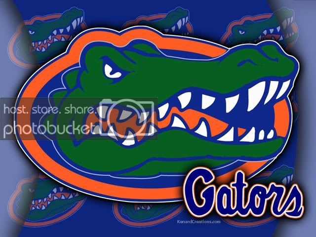 gator_1.jpg