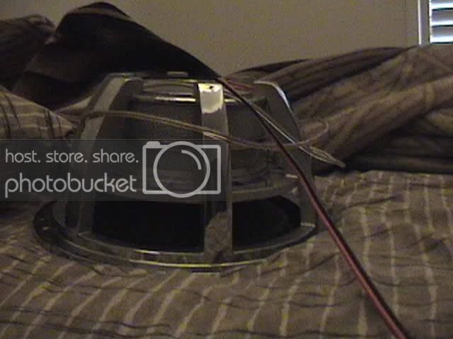 DSC00234.jpg