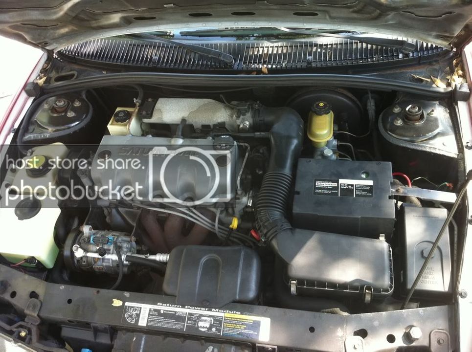 951e4217.jpg