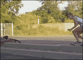 giphy.gif