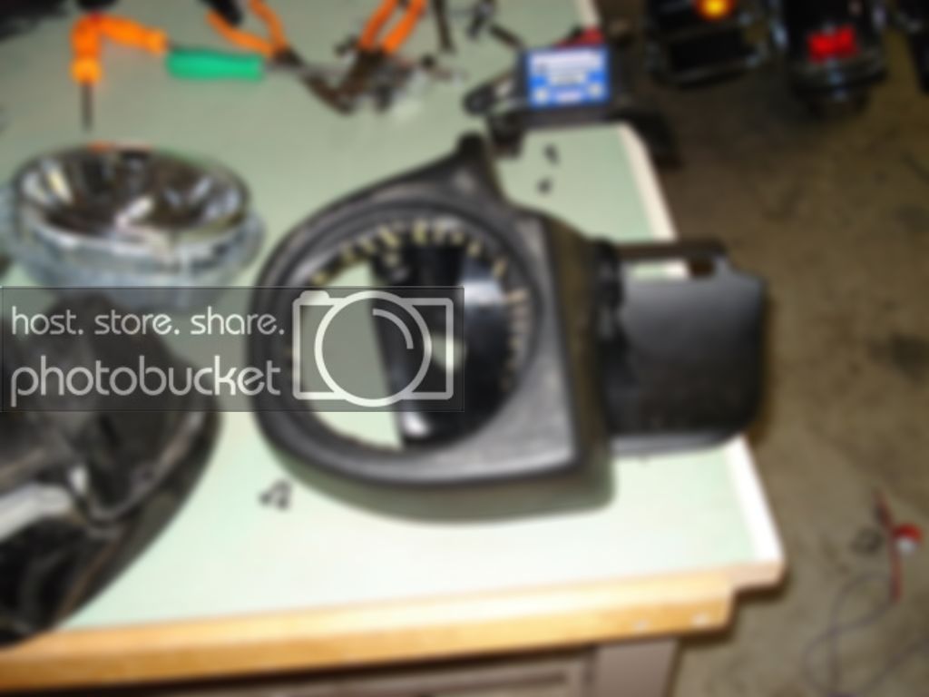 DSC07217.jpg
