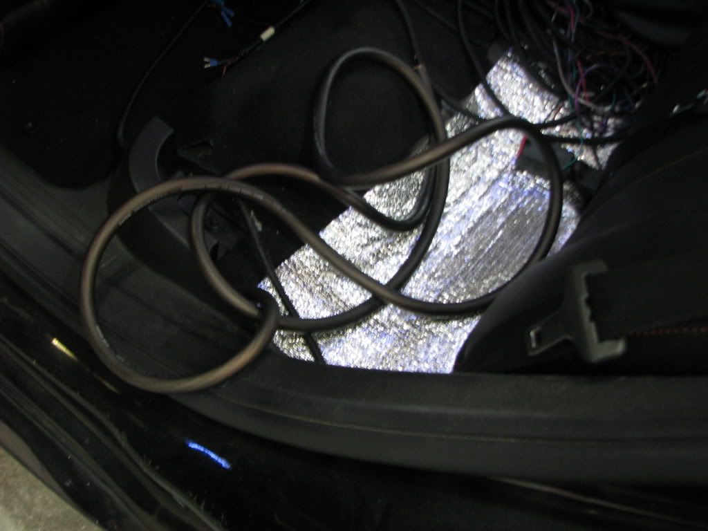 IMG_6431.jpg