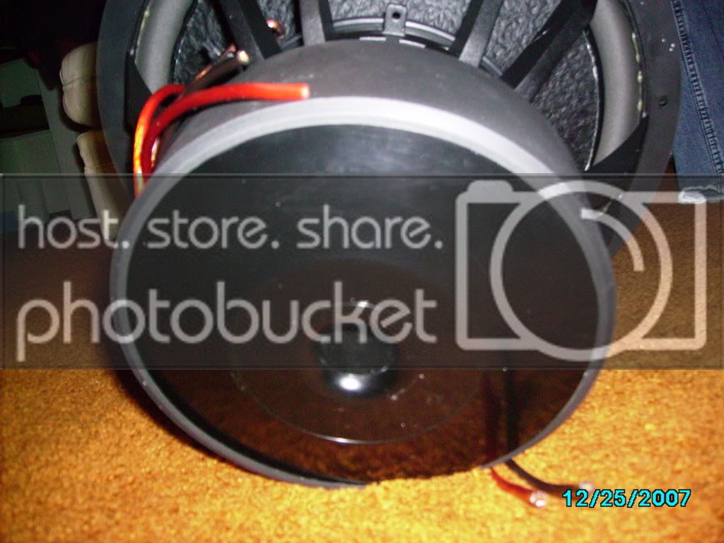 PICT0542.jpg