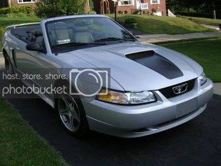 Mustang0127.jpg