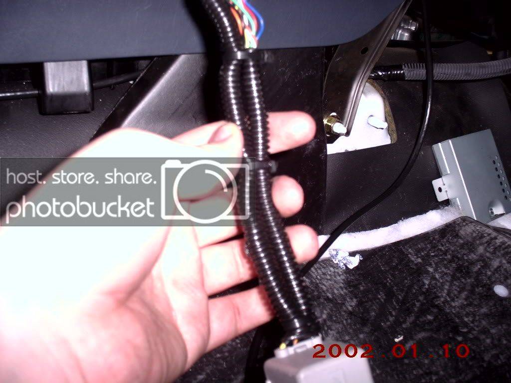 PICT5028.jpg