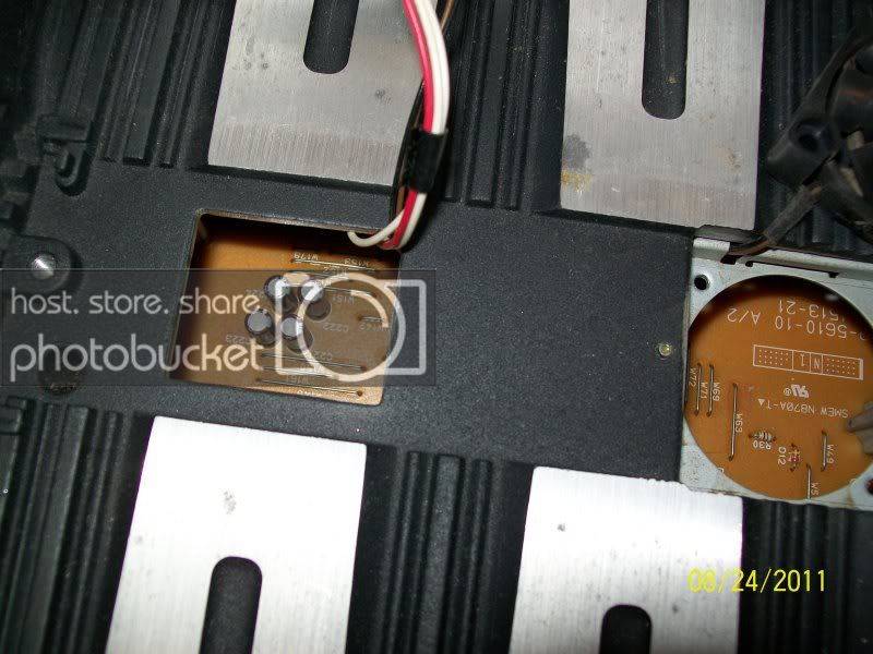 amp2002.jpg