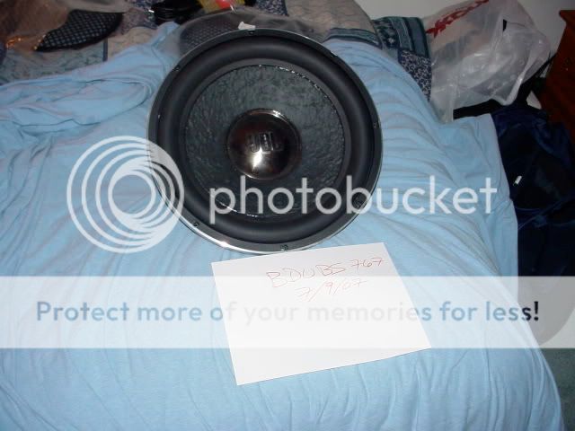 DSC02405.jpg