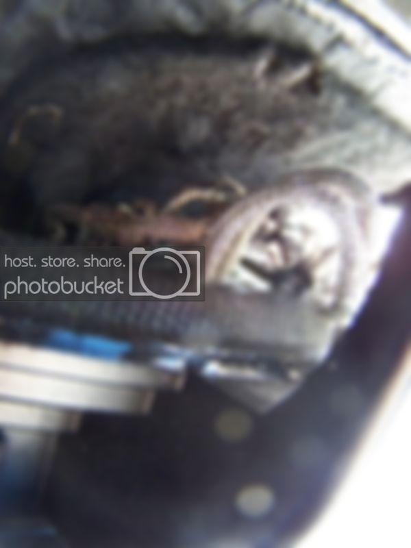 100_1513.jpg