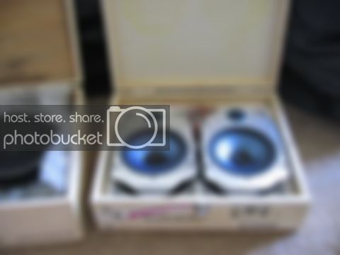 Picture007.jpg