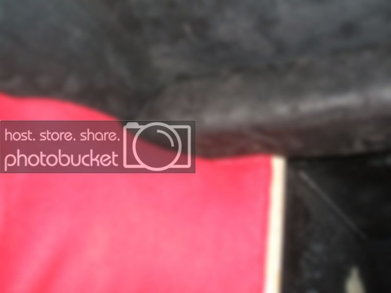DSCF3041.jpg