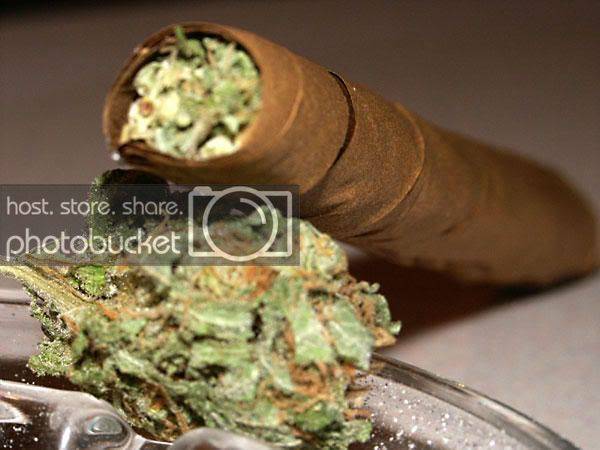 weed.jpg