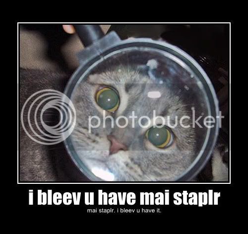 i-bleev-u-have-mai-staplr-mai-stapl.jpg