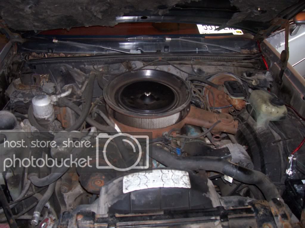 cars010.jpg