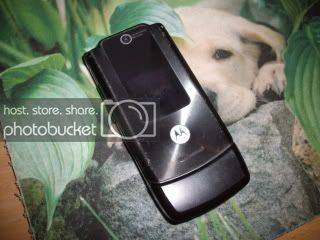 w490001.jpg