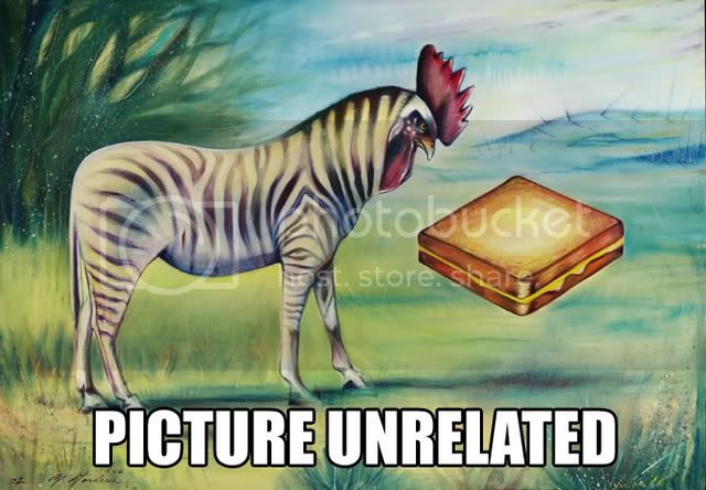 pic_unrelated_zebra.jpg