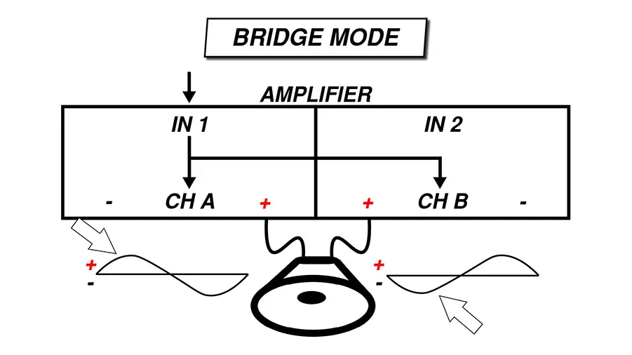 Bridge-Mono-Amplifier2.webp
