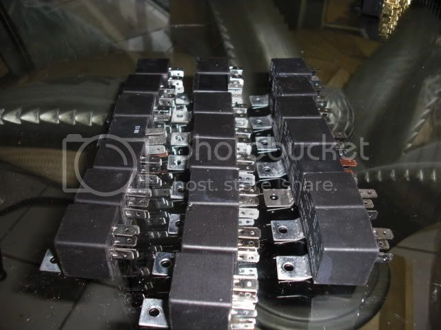 CIMG6159.jpg