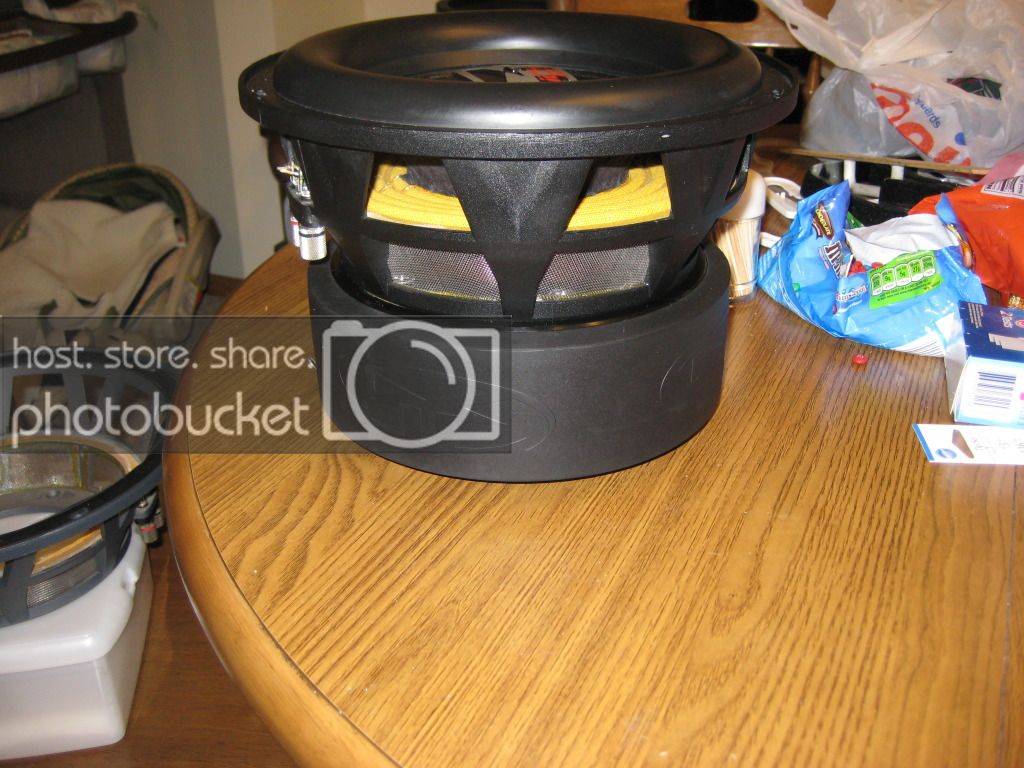 IMG_2371.jpg