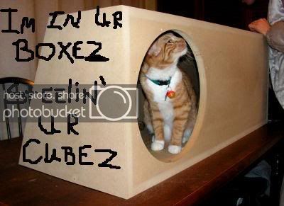 box_inspectioncubez.jpg