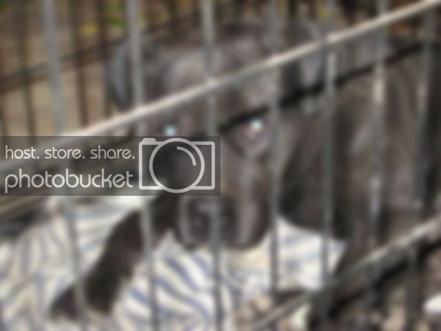 PICS047.jpg