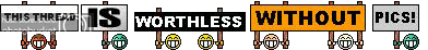 needpics.gif