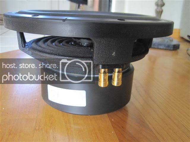 IMG_0272.jpg