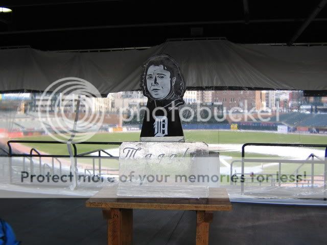 tigerfest004.jpg